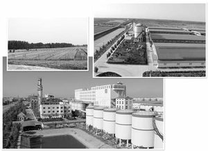 接二連三技術(shù)推廣助力中裕公司拉長(zhǎng)產(chǎn)業(yè)鏈