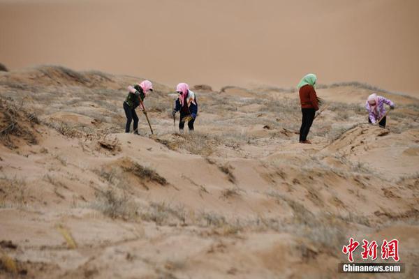 百貨 50 條，全部是實用的玩意兒（0317 第 2129 期）