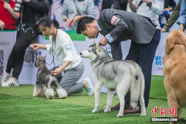 持有一支股票長(zhǎng)達(dá)十年，是怎樣的體驗(yàn)？