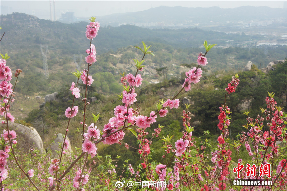 蒙能集團與金風科技洽談合作