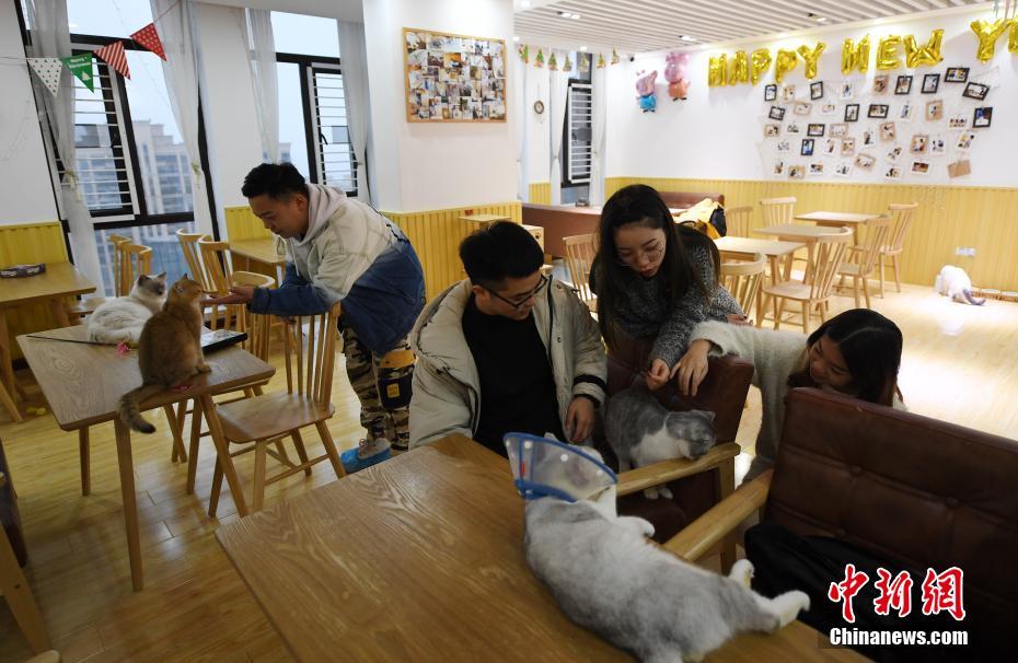 河南:推進煤炭穩產增儲 煤炭產能穩定在14億噸/年左右