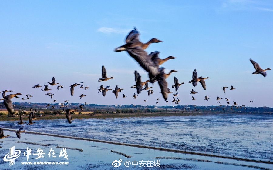 實拍美國監獄，一天自付60美元管三頓飯????