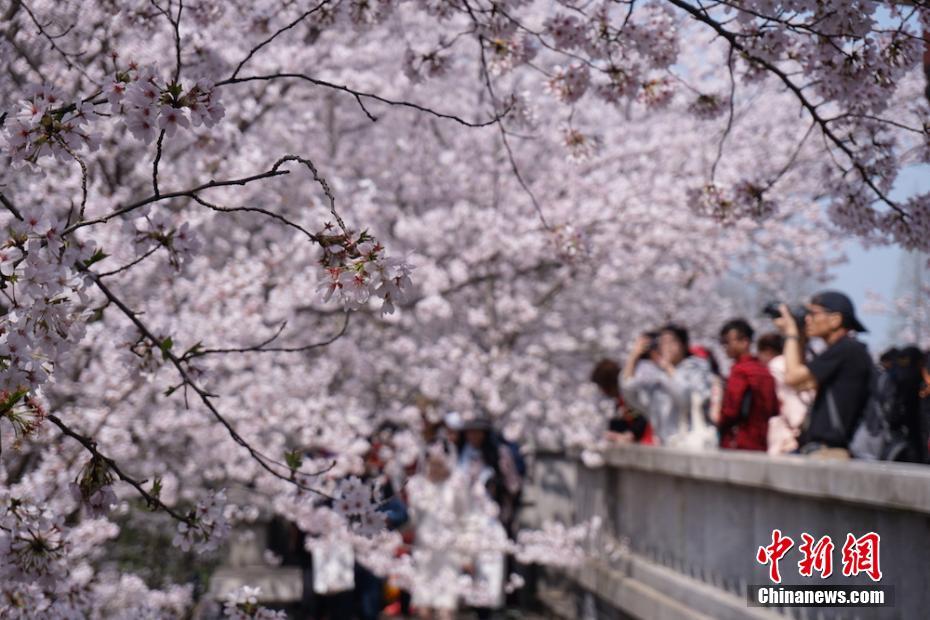 11月份第二周(11月6日-11月12日)天津煤炭價格持平