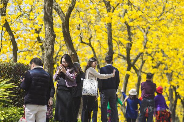 9大行業(yè)56家公司 物聯(lián)網(wǎng)如何6年吸金74億美元