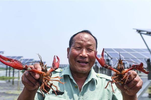 氫燃料每替代1噸標準油獎5000元 ！上海發布新政支持氫能產業發展