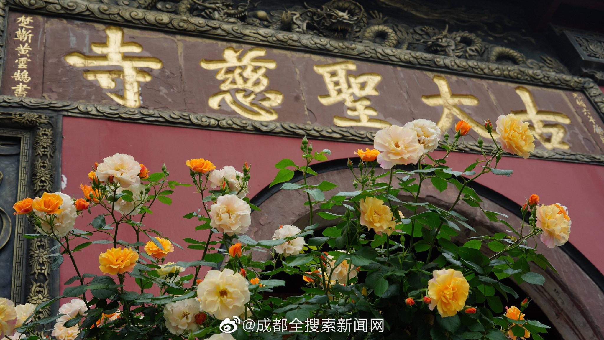 截至7月底,山東發(fā)放穩(wěn)崗返還資金15.24億元穩(wěn)定崗位307萬個