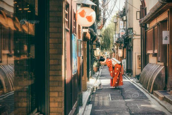 長三角地區“雙碳”轉型之路:2040年以非化石能源為主
