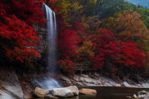 氫能產(chǎn)業(yè)發(fā)展的下一道檻: 需求