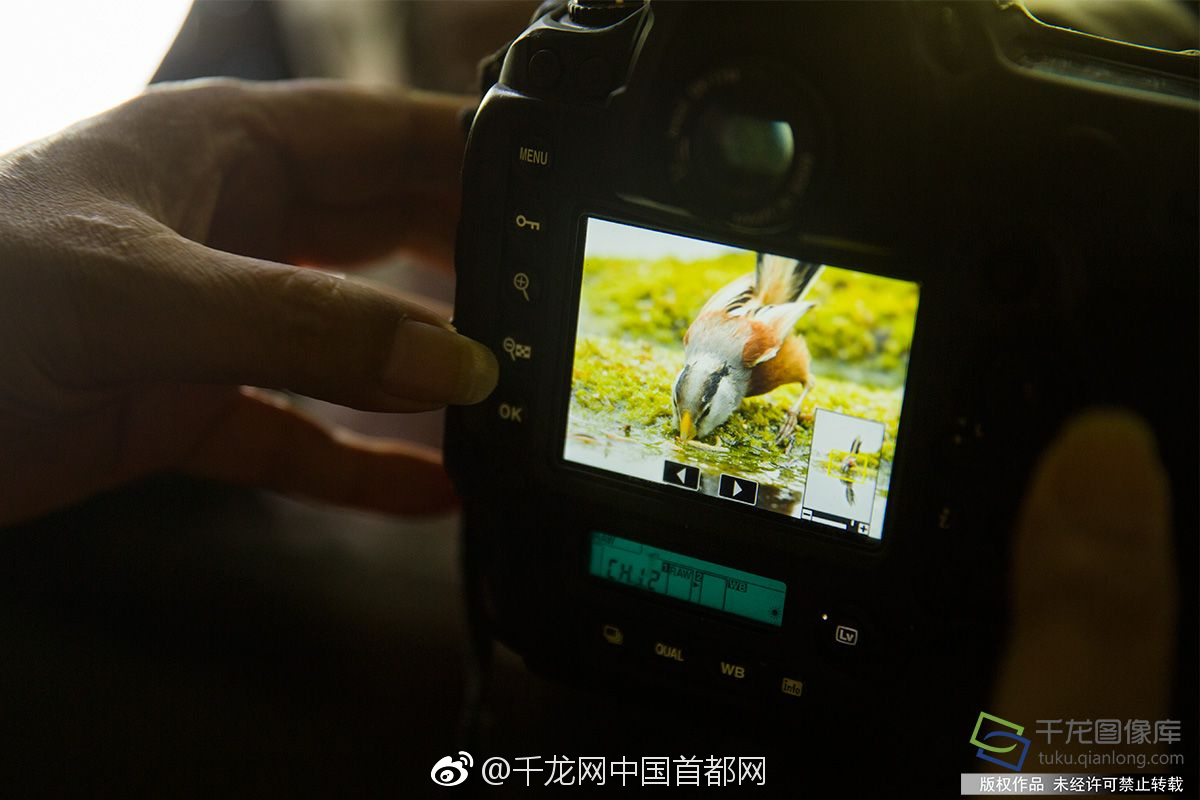 IoTF2019中國國際物聯網產業大獎TOP10榜單公布!