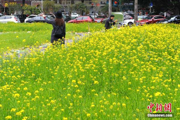 鑫茂科技：光通信產業為核心 運營穩定