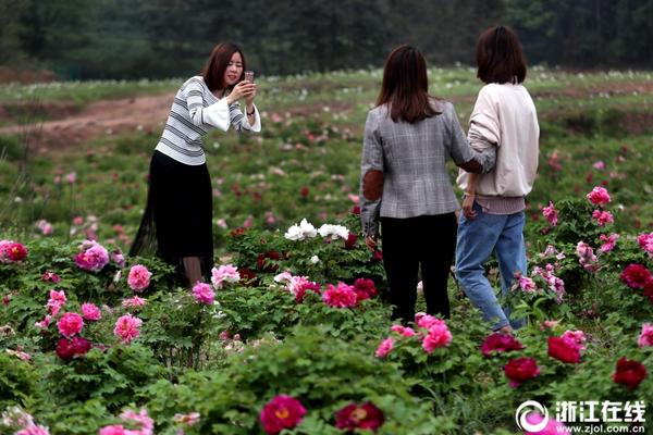 如何看待德國財政部長「不同意歐盟從 2035 年起禁售燃油車的計劃」？