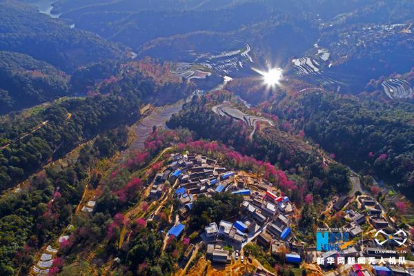 在黃河大集,感受全新的“