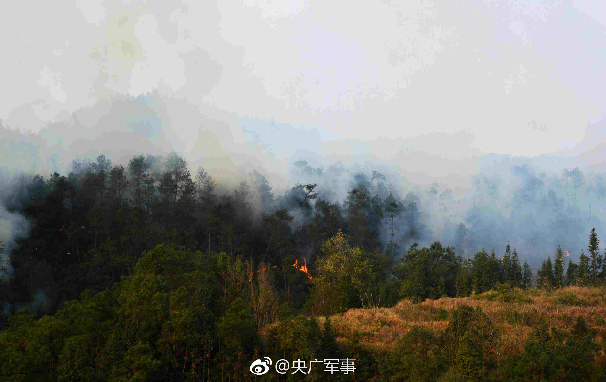 Adobe新推出了一款電子感應裙，好玩
