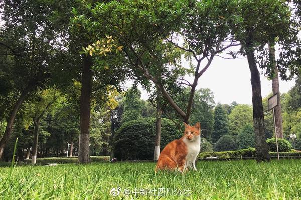 總投資5億元！實淳氫能環保雙碳產業基地項目落戶長沙