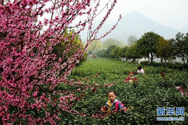 擘畫新藍圖 啟航新征程③丨爭當先進制造業“尖子生”,山東未來