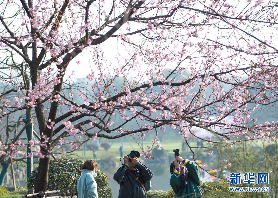 擘畫新藍圖 啟航新征程③丨爭當先進制造業“尖子生”,山東未來