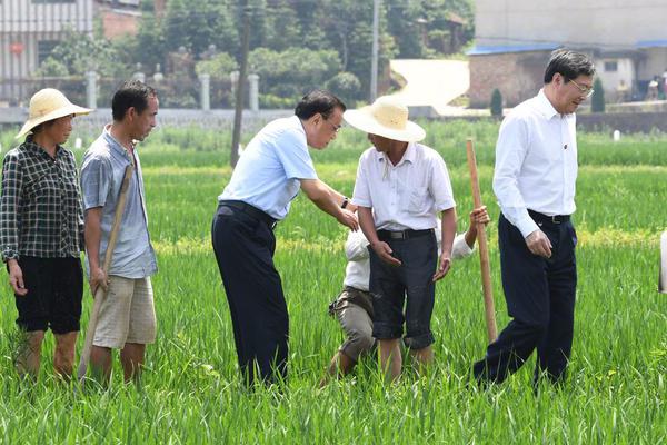 “南方菜市場的服務，能震撼北方人一整年”