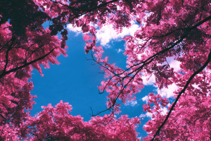 我在學(xué)術(shù)界與工業(yè)界的經(jīng)歷
