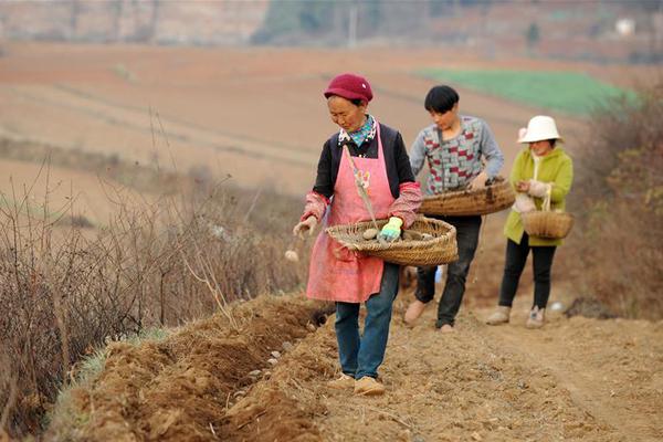 我在美國生娃|費(fèi)用及全紀(jì)錄