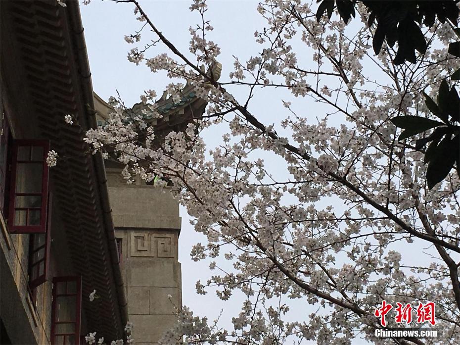 省內首個進口高風險非冷鏈集裝箱貨物集中監管倉在濟南開倉