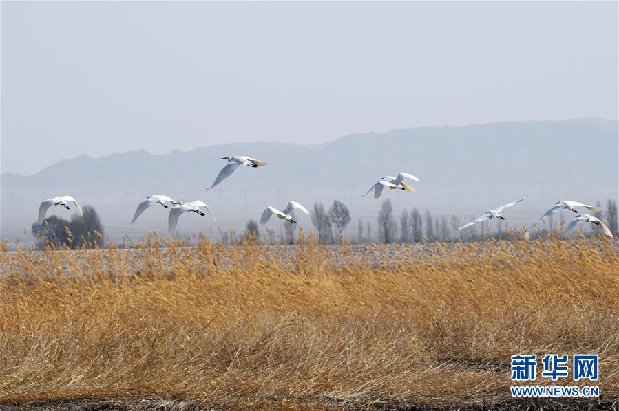 2013-2018:印度自備電市場復(fù)合年增率4.5%