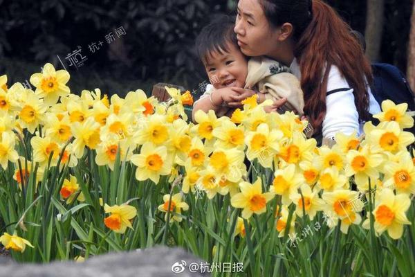 「財富」雜志的2022年中國500強榜單出了