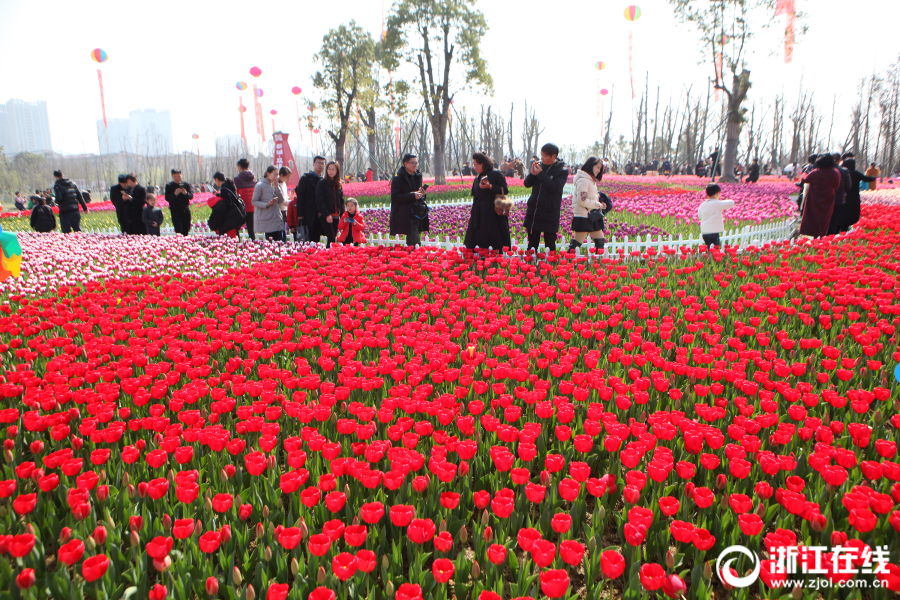 真正的商戰，比騰訊老干媽事件還離譜