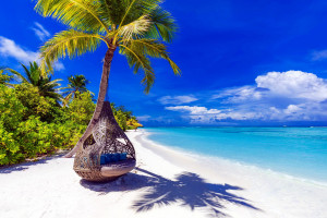 [博海拾貝1126]機械飛升