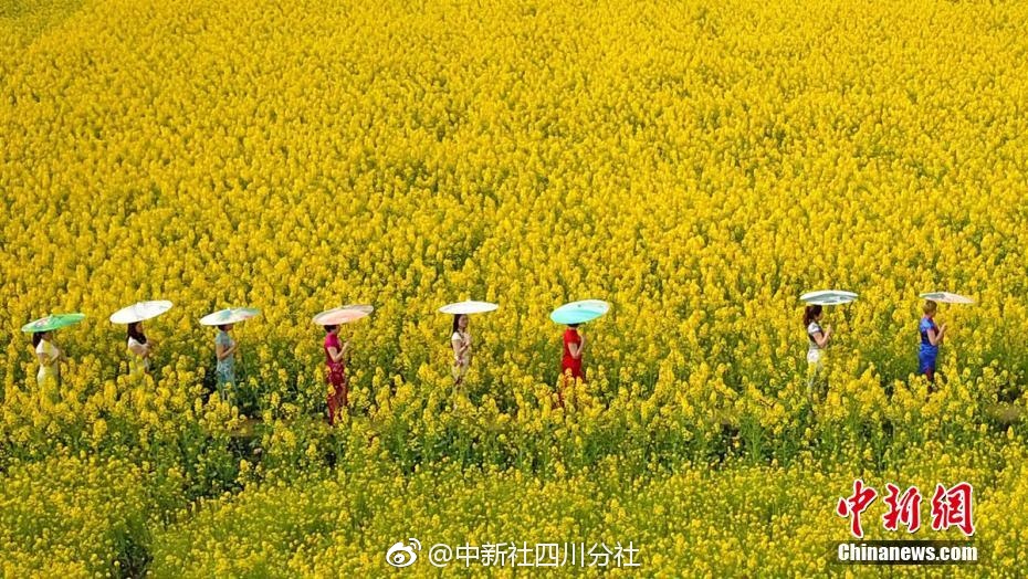 基金大跌，炸出來一堆文案高手