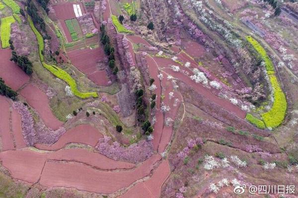 四川擬完善分時電價機制：尖峰時段電價在高峰時段電價基礎上上浮20%