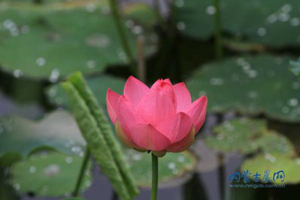 國網(wǎng)上海等電力業(yè)務(wù)（供電類）許可登記事項(xiàng)變更獲批