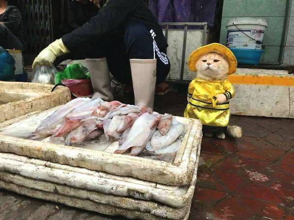 國網冀北電力獲中國專利獎銀獎