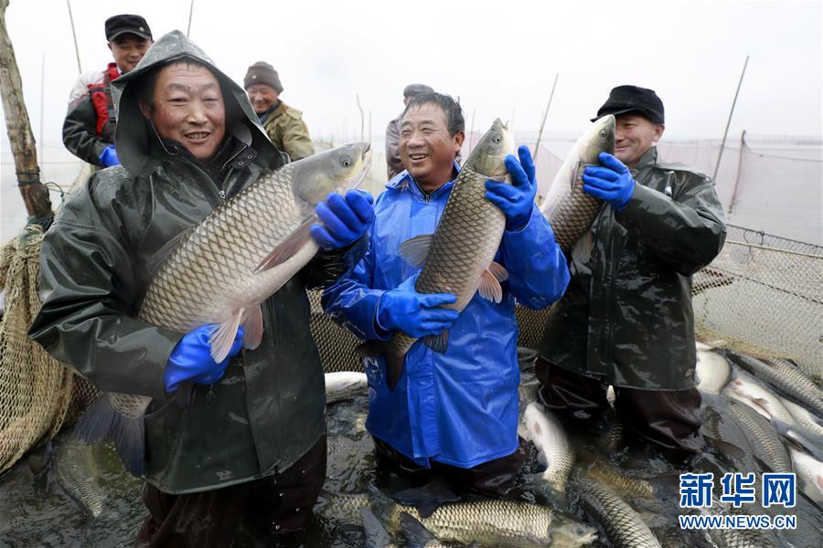 美錦能鏈：加氫站等業(yè)務(wù)營收3.73億 飛馳凈利增長916%