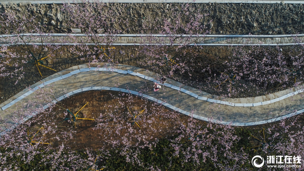 北京電力交易中心公示1家申請退市的售電公司