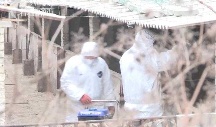 思考 | 可再生能源發電如何過渡成為主體電源?